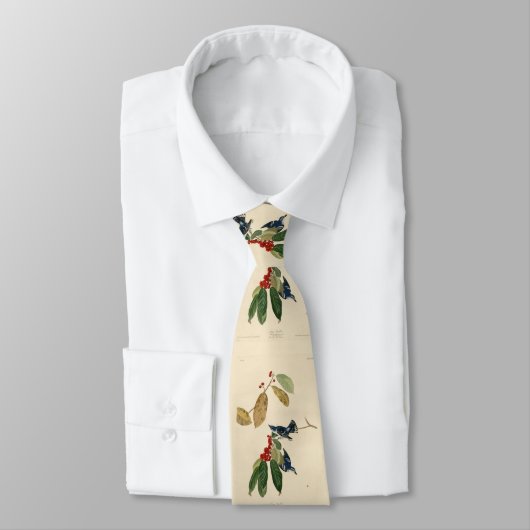 Azure (Cerulean) Warbler, Audubon Birds of America Stropdas (Gebonden)