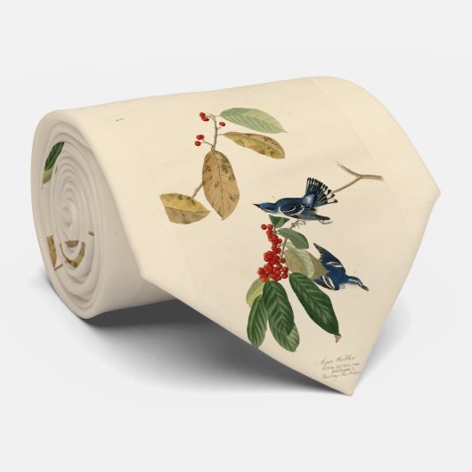 Azure (Cerulean) Warbler, Audubon Birds of America Stropdas (Opgerold)