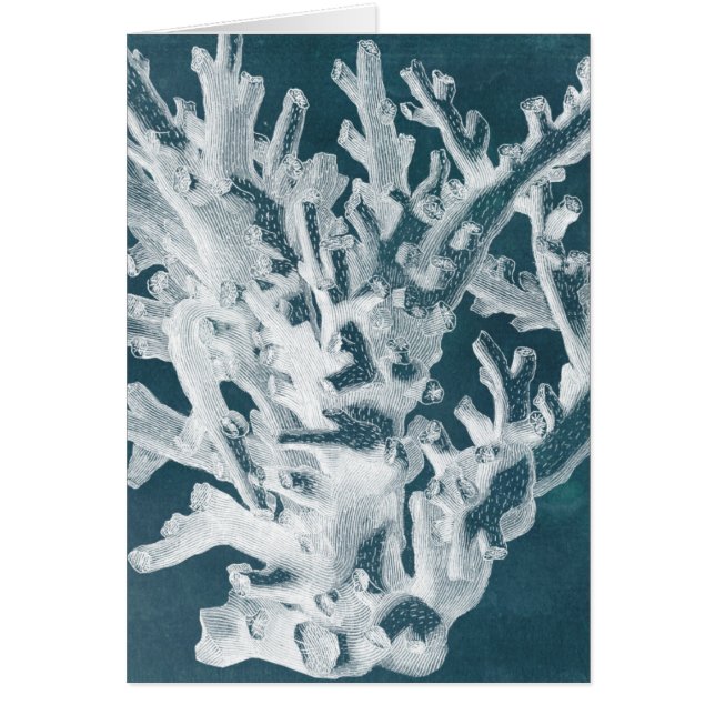 Azure Coral I (Voorkant)