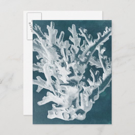 Azure Coral I Briefkaart (Voorkant / Achterkant)