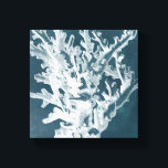 Azure Coral I Canvas Afdruk<br><div class="desc">Mariene Leven</div>