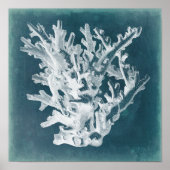 Azure Coral I Poster (Voorkant)