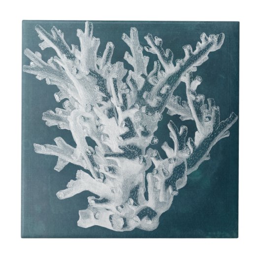 Azure Coral I Tegeltje (Voorkant)