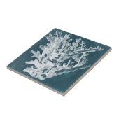 Azure Coral I Tegeltje (Zijkant)