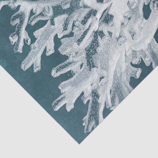 Azure Coral I Tissuepapier (Detail)