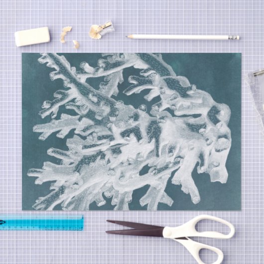 Azure Coral I Tissuepapier (Craft)