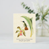 Azure Crowned Hummingbird  Art Briefkaart (Staand voorkant)