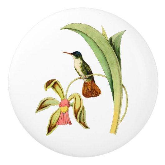 Azure Crowned Hummingbird Keramische Knop (Voorkant)