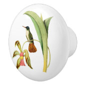 Azure Crowned Hummingbird Keramische Knop (Rechts)