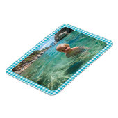 Azure Gingham Plaid Family Photo Magneet (Linkerzijde)
