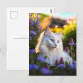 Azure het Turkse Briefkaart van de Angora Cat (Voorkant / Achterkant)