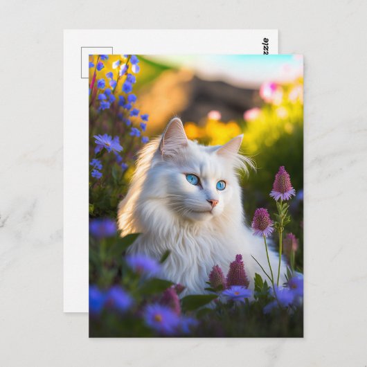 Azure het Turkse Briefkaart van de Angora Cat (Voorkant / Achterkant)