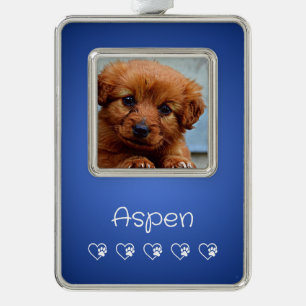 Azure huisdier foto ornament - Kerstcadeau