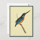 Azure Kingfisher Briefkaart (Voorkant / Achterkant)