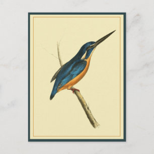 Azure Kingfisher Briefkaart