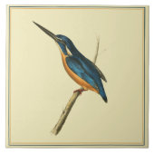 Azure Kingfisher Tegeltje (Voorkant)