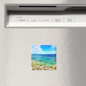 Azure Ocean Reef Magneet (Insitu (Vaatwasser))