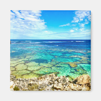 Azure Ocean Reef Magneet