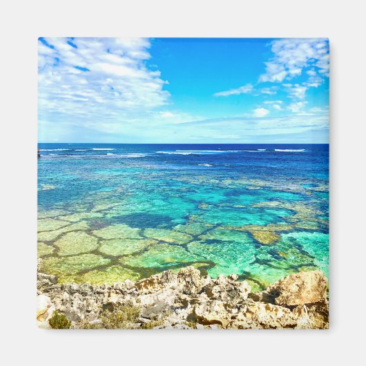 Azure Ocean Reef Magneet (Voorkant)