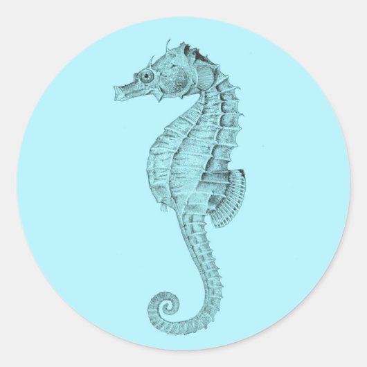 Azure Seahorse Sticker (Voorkant)