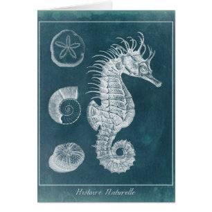 Azure Seahorse Study I