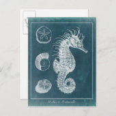 Azure Seahorse Study I Briefkaart (Voorkant / Achterkant)