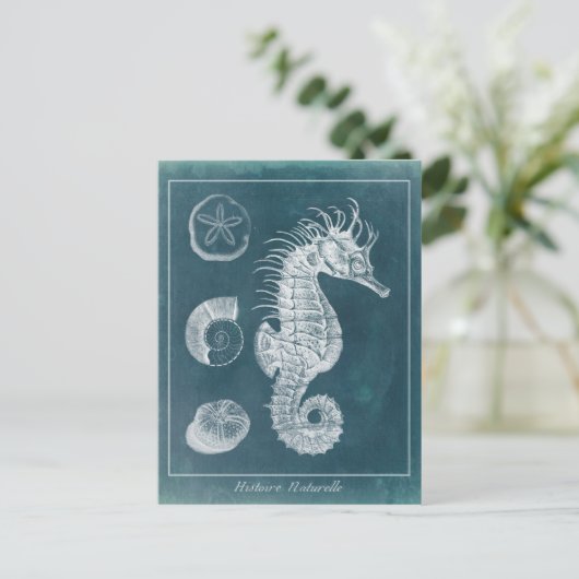 Azure Seahorse Study I Briefkaart (Staand voorkant)