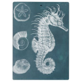 Azure Seahorse Study I Klembord (Achterkant)