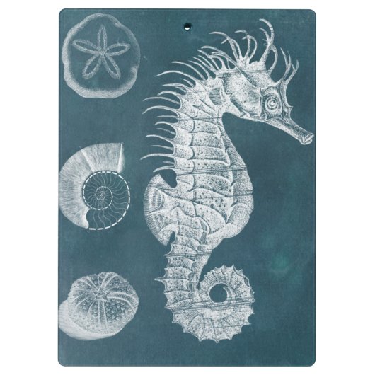 Azure Seahorse Study I Klembord (Achterkant)
