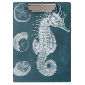Azure Seahorse Study I Klembord (Voorkant)