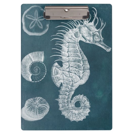 Azure Seahorse Study I Klembord (Voorkant)