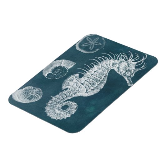 Azure Seahorse Study I Magneet (Linkerzijde)