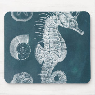 Azure Seahorse Study I Muismat