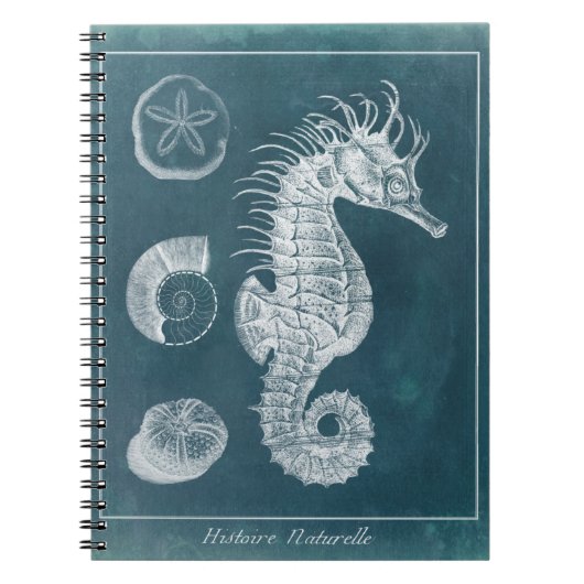 Azure Seahorse Study I Notitieboek (Voorkant)
