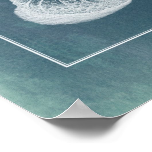 Azure Seahorse Study I Poster (Hoek)