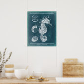 Azure Seahorse Study I Poster (Keuken)