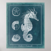 Azure Seahorse Study I Poster (Voorkant)