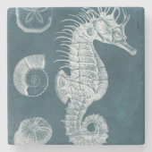 Azure Seahorse Study I Stenen Onderzetter (Voorkant)
