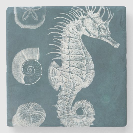 Azure Seahorse Study I Stenen Onderzetter (Voorkant)