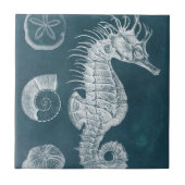Azure Seahorse Study I Tegeltje (Voorkant)