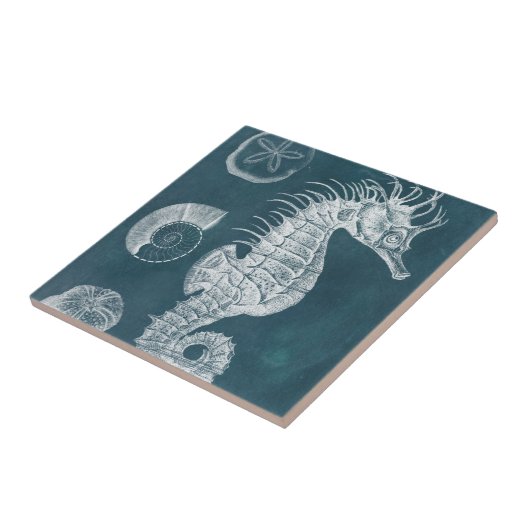 Azure Seahorse Study I Tegeltje (Zijkant)
