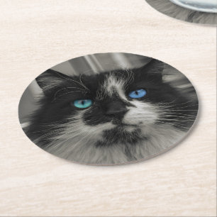 Azure Soul Zwarte Kat Blauwe Ogen Ronde Onderzette Kartonnen Onderzetter