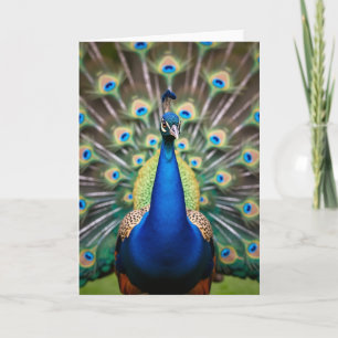 Azure Vogel Verjaardagskaart Kaart
