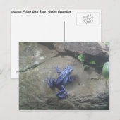 Azureus Poison Dart Frog Briefkaart (Voorkant / Achterkant)
