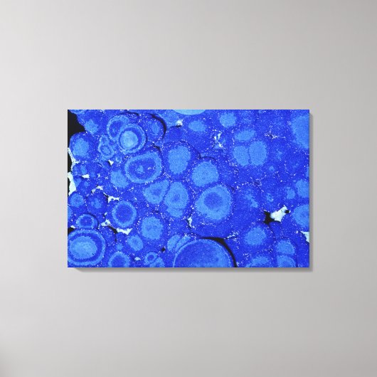 Azuriet, een erts van koper, Arizona, Verenigde St Canvas Afdruk (Voorkant)