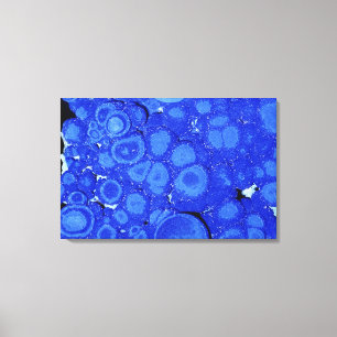 Azurite, een erts van koper, Arizona, Verenigde St Canvas Afdruk