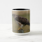 B10 Swainson's Buizerd Mok (Midden)