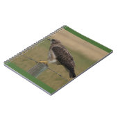 B10 Swainsons Buizerd Notitieboek (Linkerzijde)