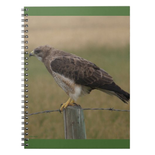 B10 Swainsons Buizerd Notitieboek (Voorkant)