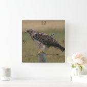 B10 Swainson's Buizerd Vierkante Klok (Huis)